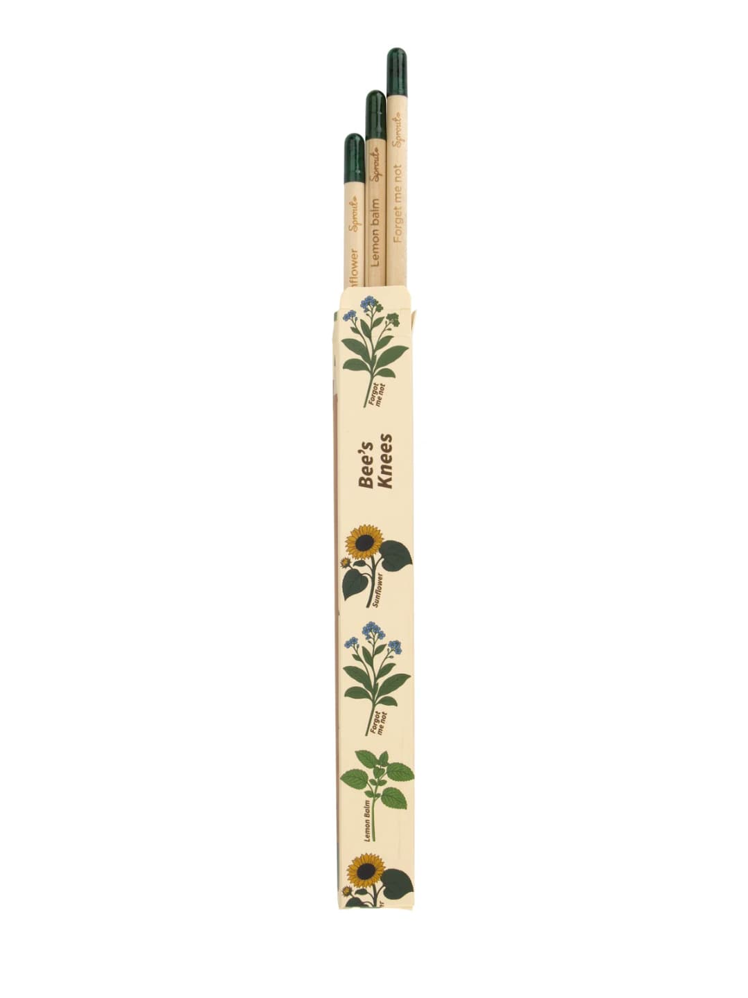 Pencil 3-Pack