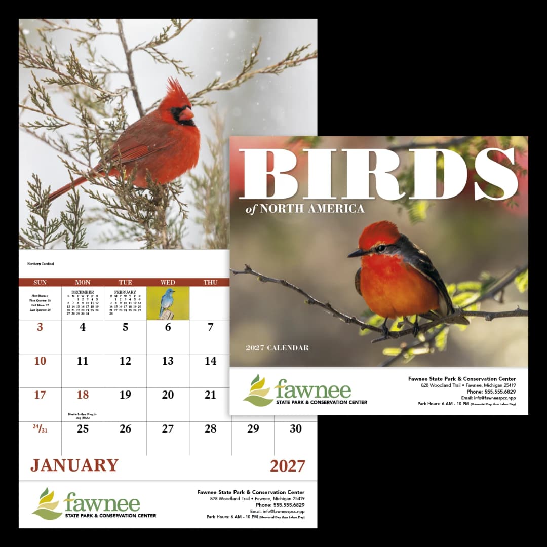 Birds of North America - Stapled Calendar