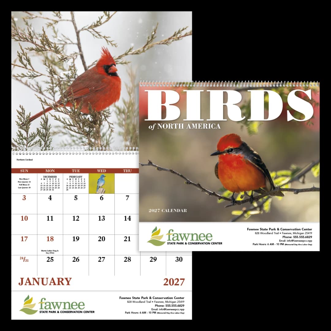 Birds of North America - Spiral Calendar