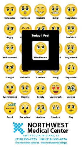 MOOD METERS® Mood Magnet