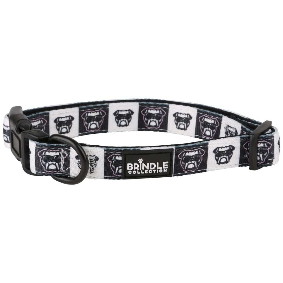 Dog Collar With Neoprene Backing: Large