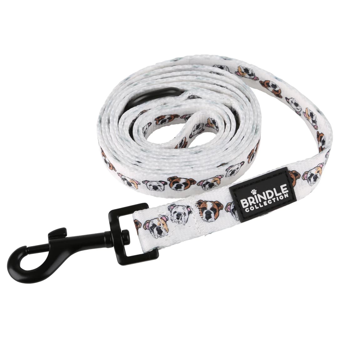 Dog Leash: Wide