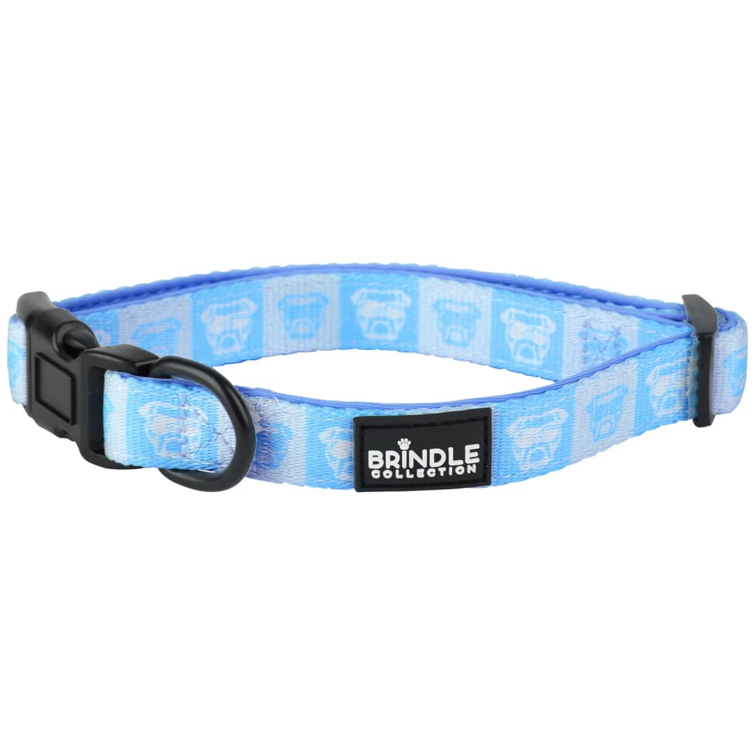 Dog Collar With Neoprene Backing: Medium