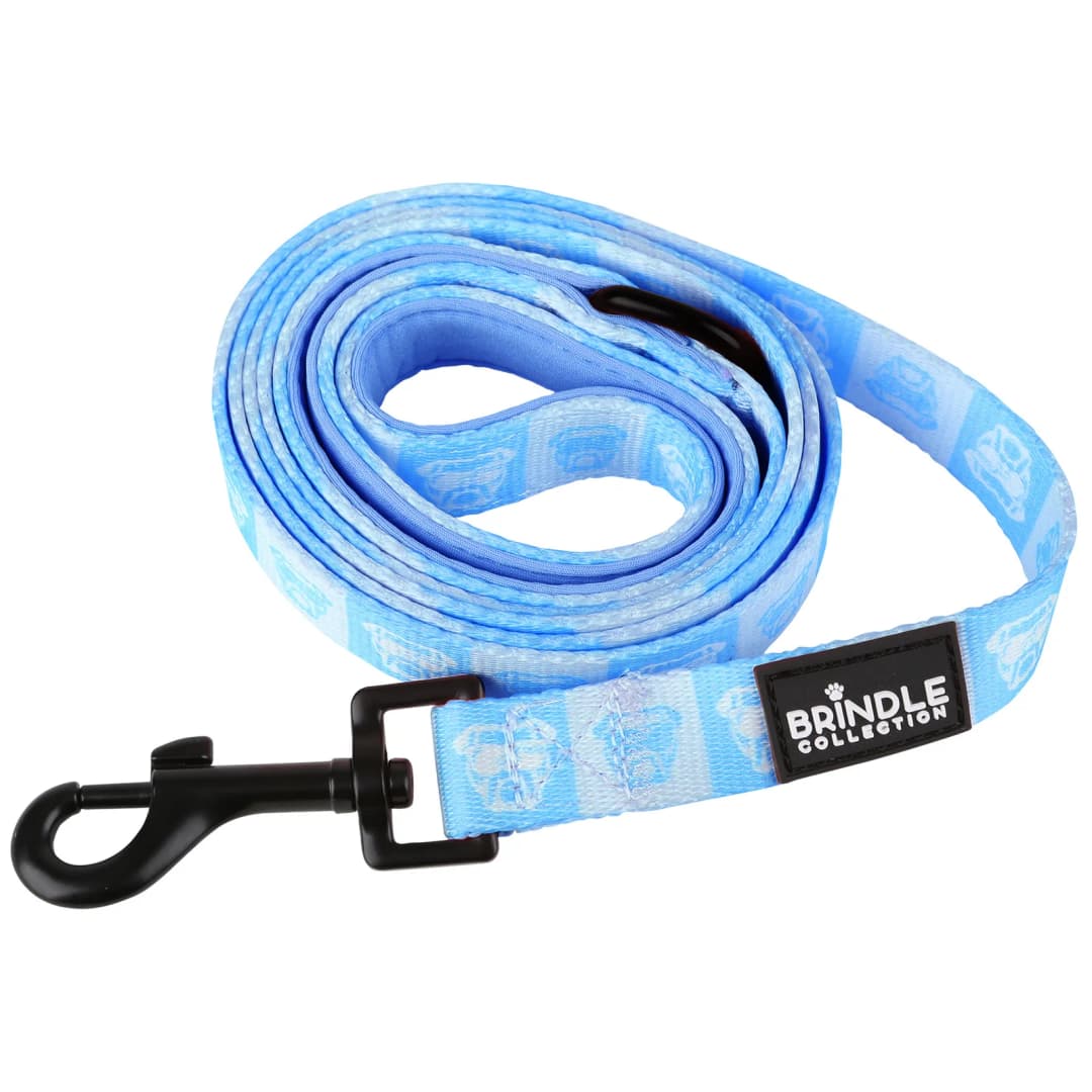 Dog Leash With Neoprene Backing: Wide