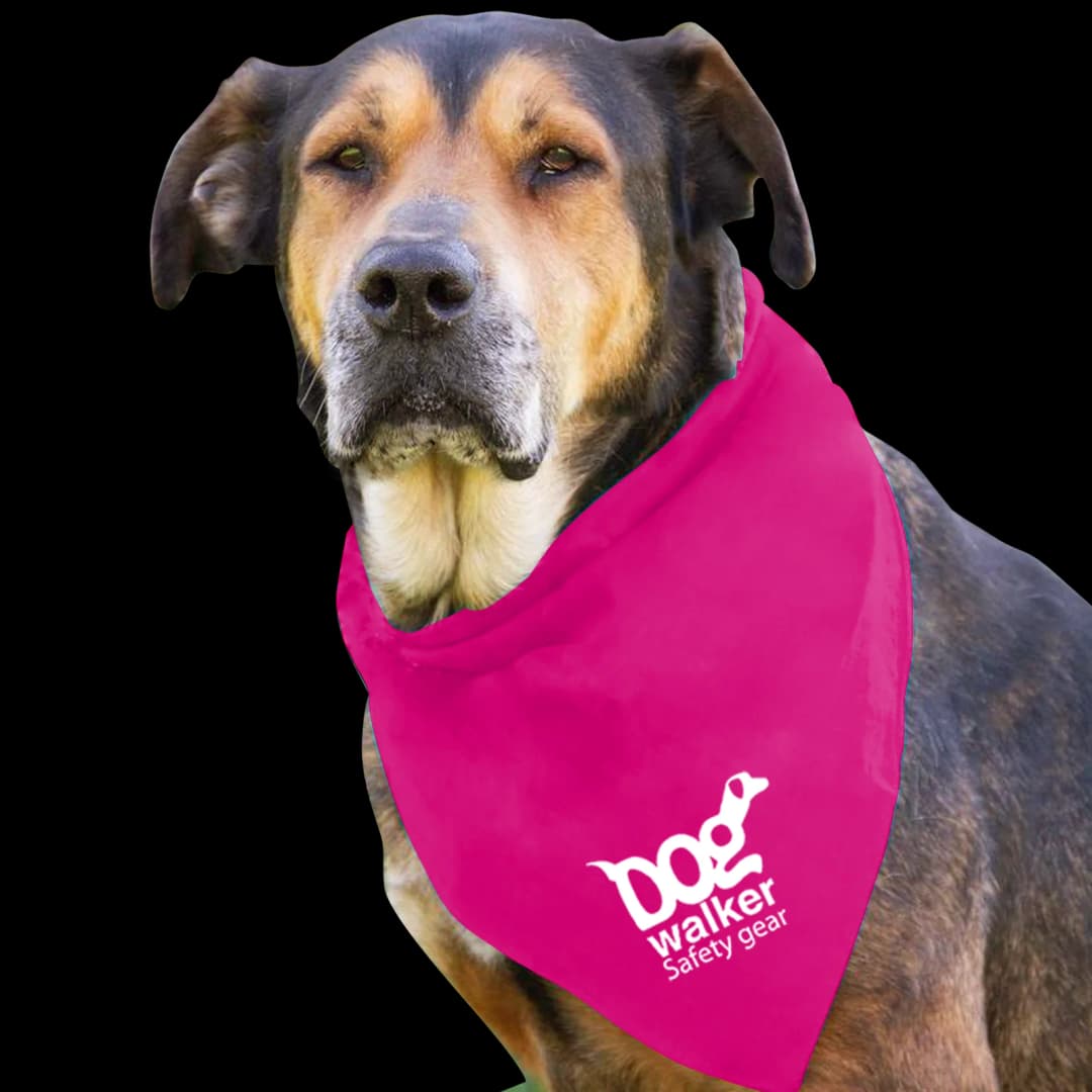 Large Triangle Doggie Bandana