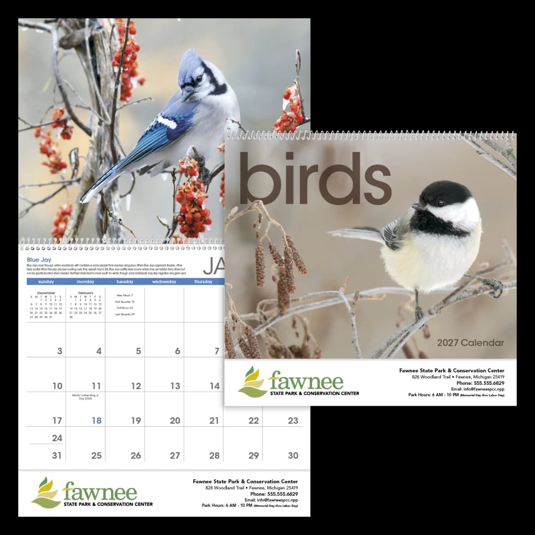 Birds Calendar