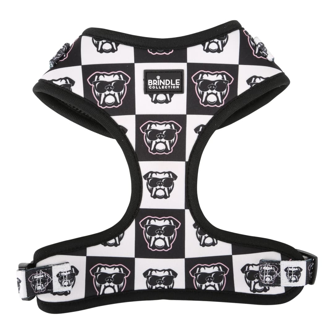 Dog Harness: Large