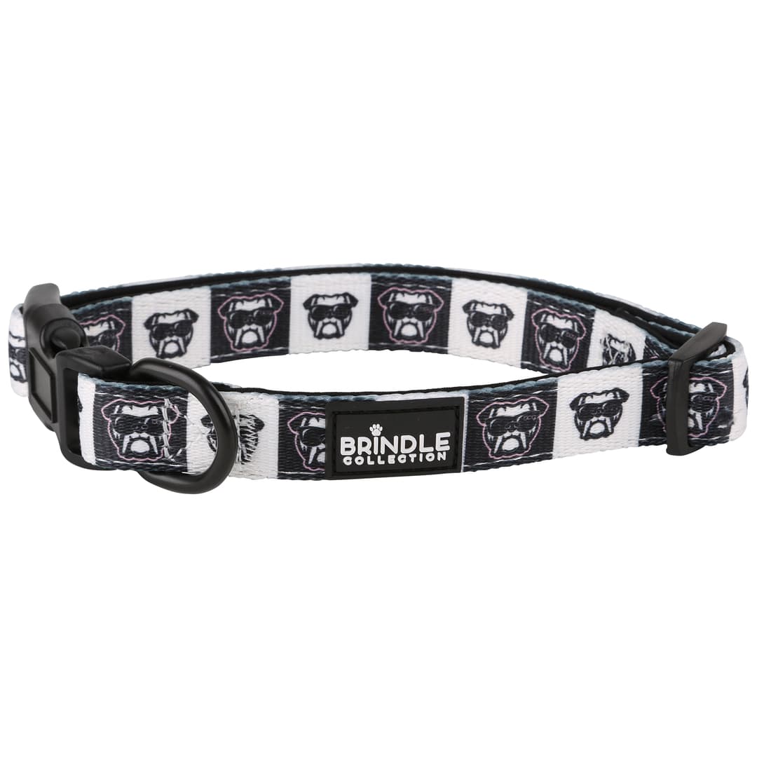 Dog Collar With Neoprene Backing: Large