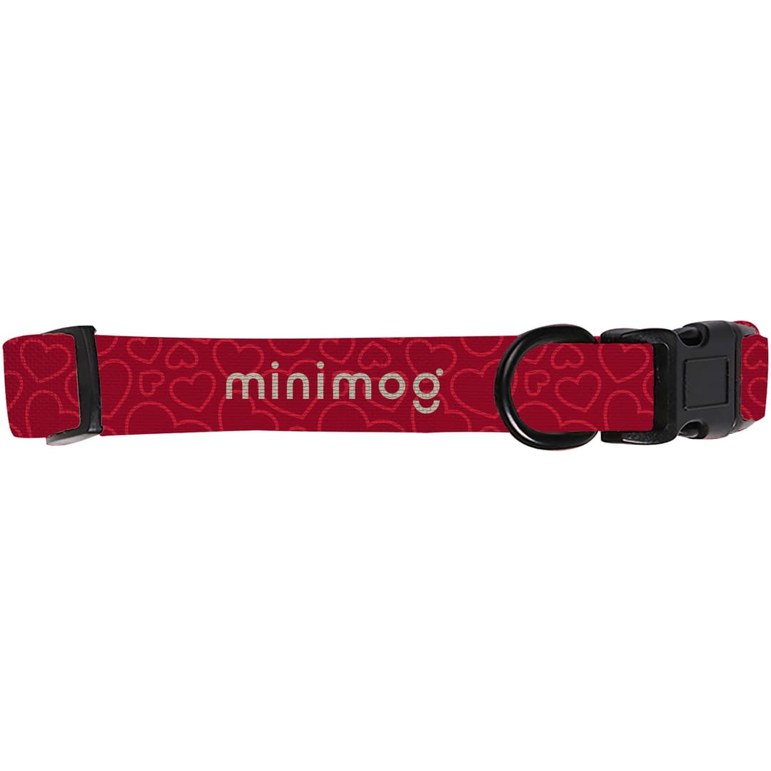 Dog Collar: Extra Small