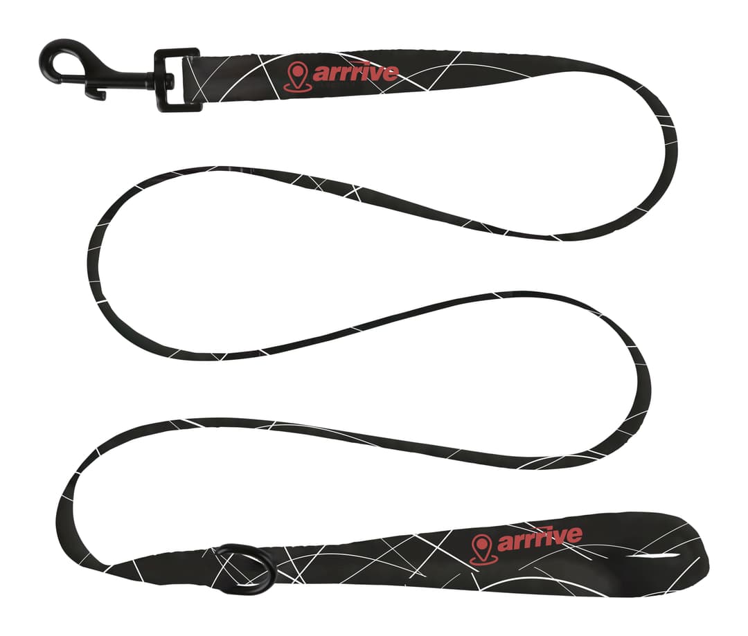 Dog Leash: Regular