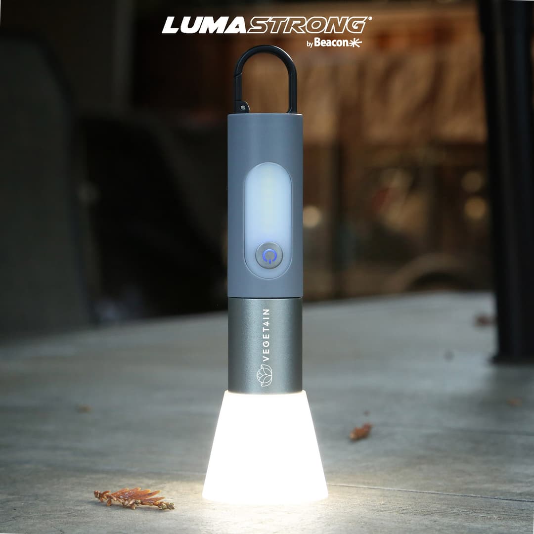 Odyssey Point Flashlight