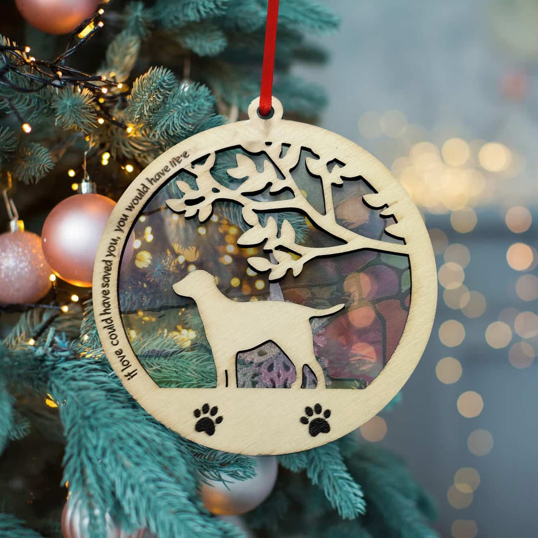 Layered Wood Ornament: Suncatcher