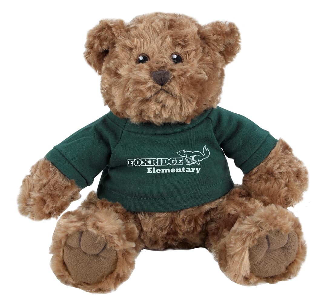 Traditional Teddy Bear - 11" Plush