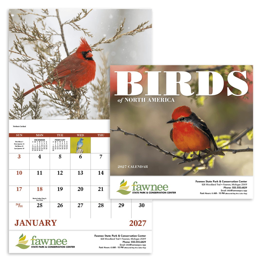 Birds of North America - Stapled Calendar