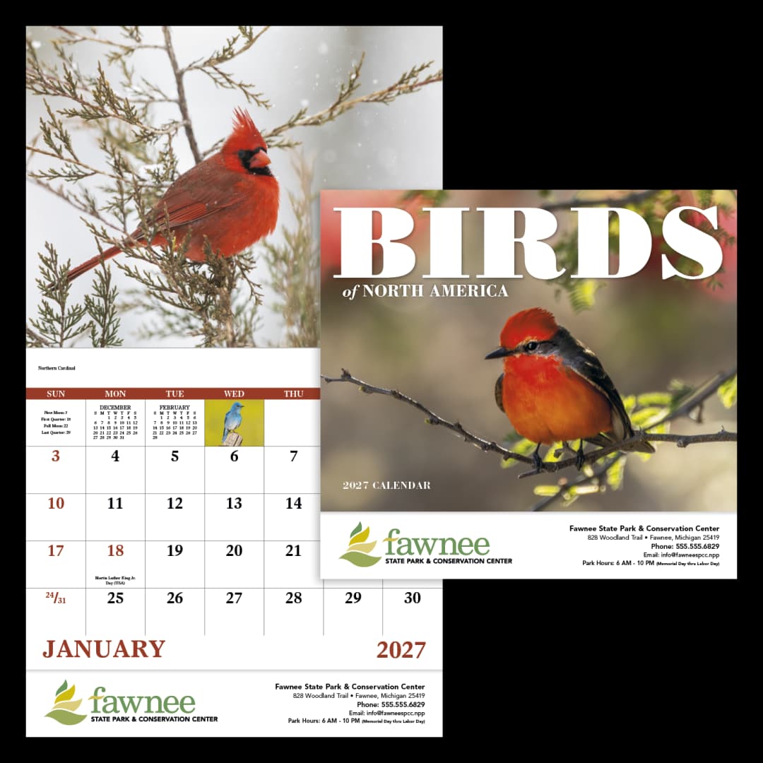 Birds of North America - Stapled Calendar