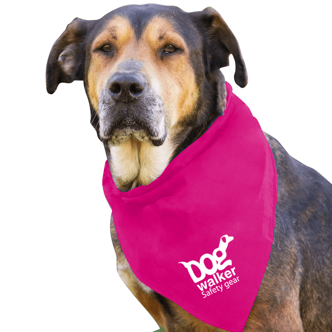 Large Triangle Doggie Bandana